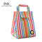 Lightweight Foldable Canvas Food Insulated Lunch Cooler Bags