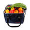 Shoulder Food Lunch Waterproof Insulated Picnic Cooler Bag